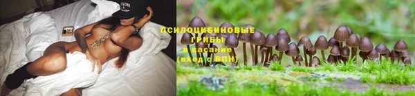 a pvp Майский