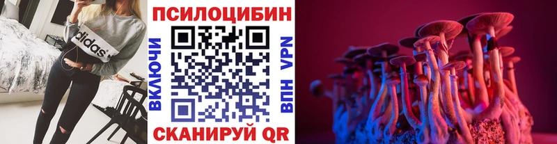 Псилоцибиновые грибы мицелий  магазин    Астрахань 