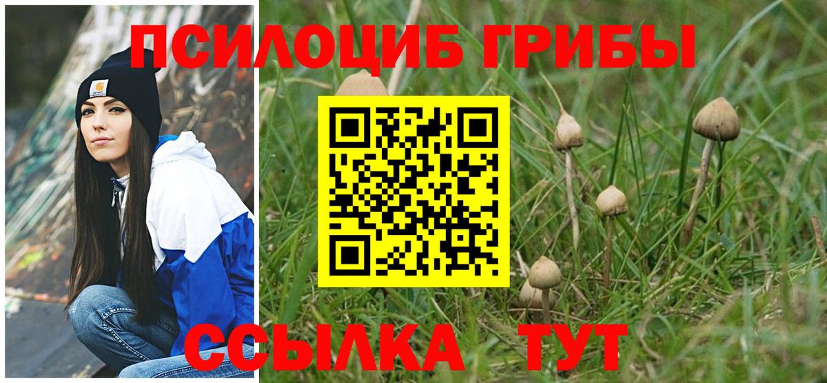 Астрахань  Псилоцибиновые грибы Psilocybe  Вход с VPN 