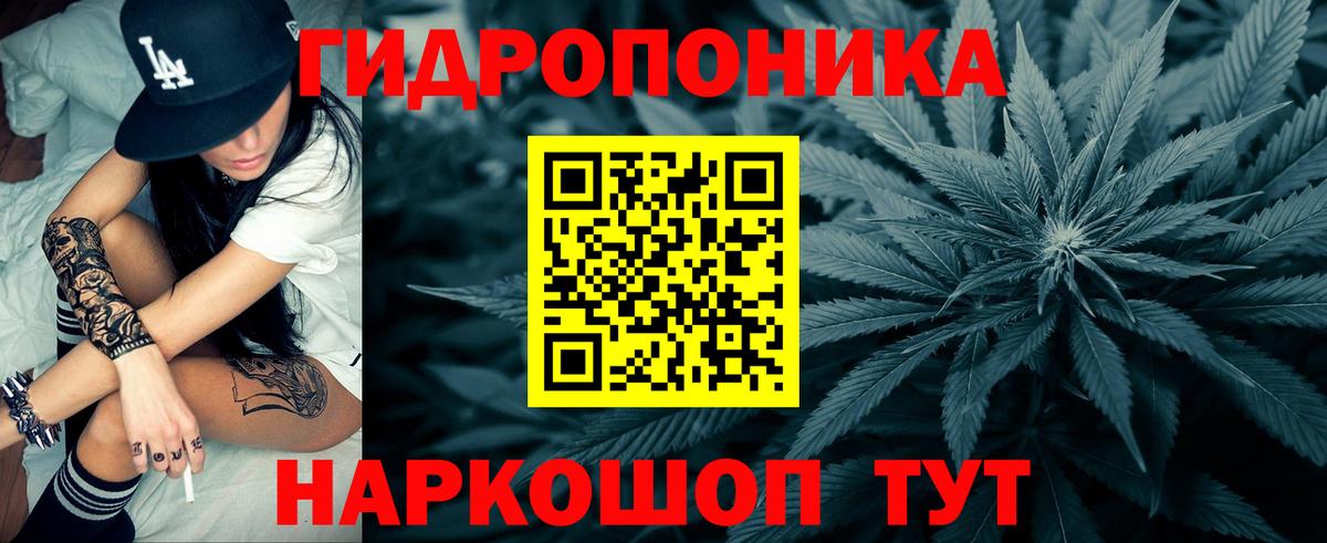Каннабис план  Вход с VPN  Шишки марихуана семена  Астрахань 